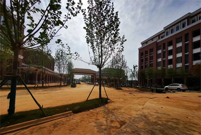 美加大学办公楼
